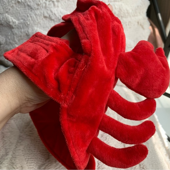 Thrills and chills Guinea lobster crawfish 2 pc costume with hat. GUC - Picture 6 of 9